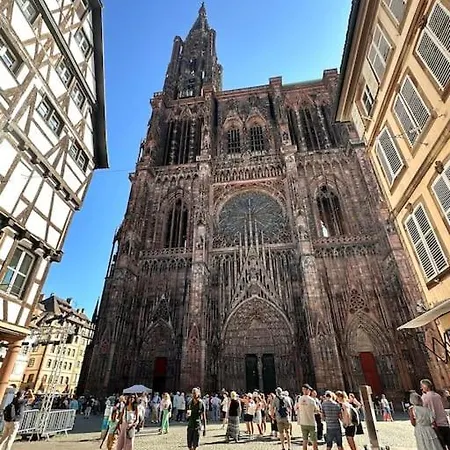 Beau Studio Proche Strasbourg Illkirch-Graffenstaden Exterior photo
