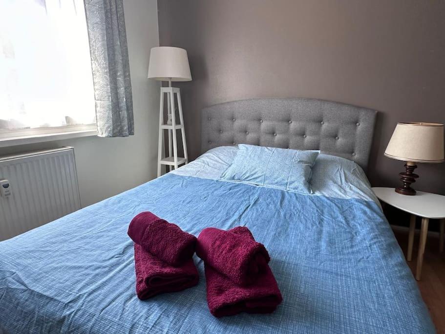 Beau Proche Strasbourg Apartment *