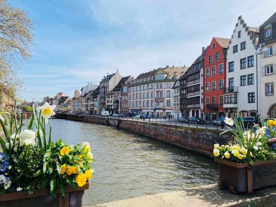 Beau Proche Strasbourg