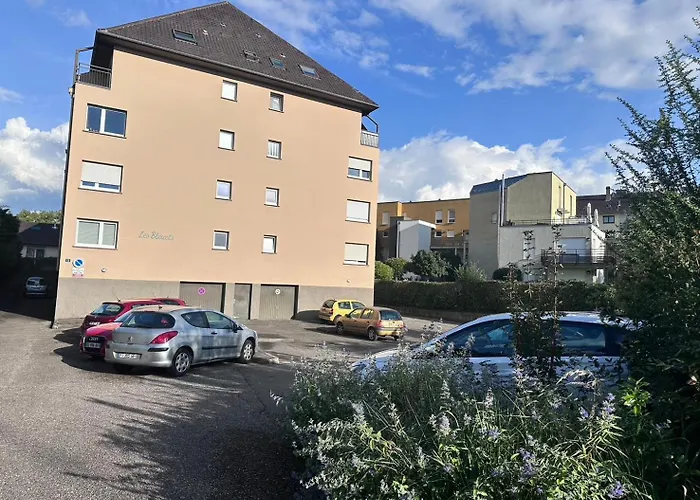 Beau Studio Proche Strasbourg