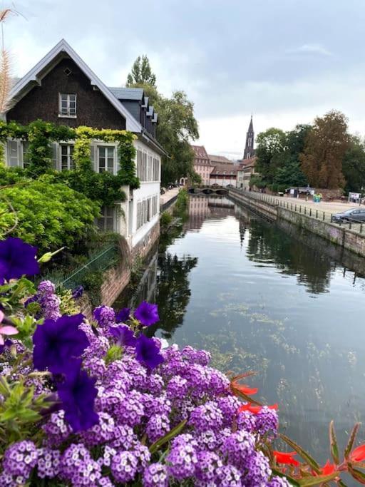 Appartement Beau Proche Strasbourg *