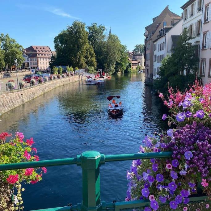 Beau Proche Strasbourg Appartement Illkirch-Graffenstaden